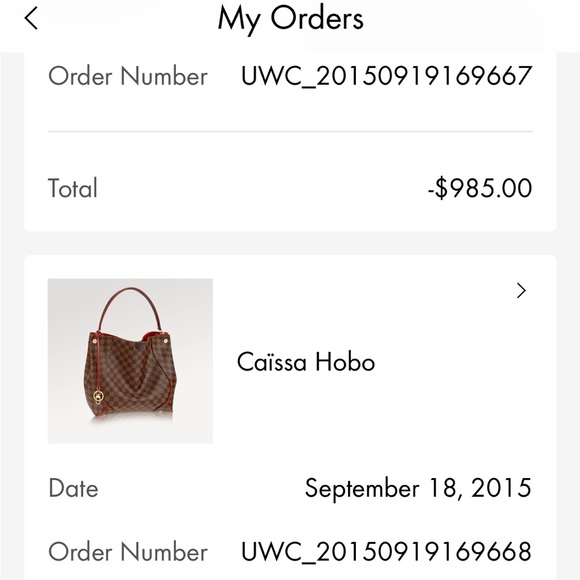 NEW LOUIS VUITTON CAISSA HOBO Cherry Interior & Trim. - Picture 11 of 11